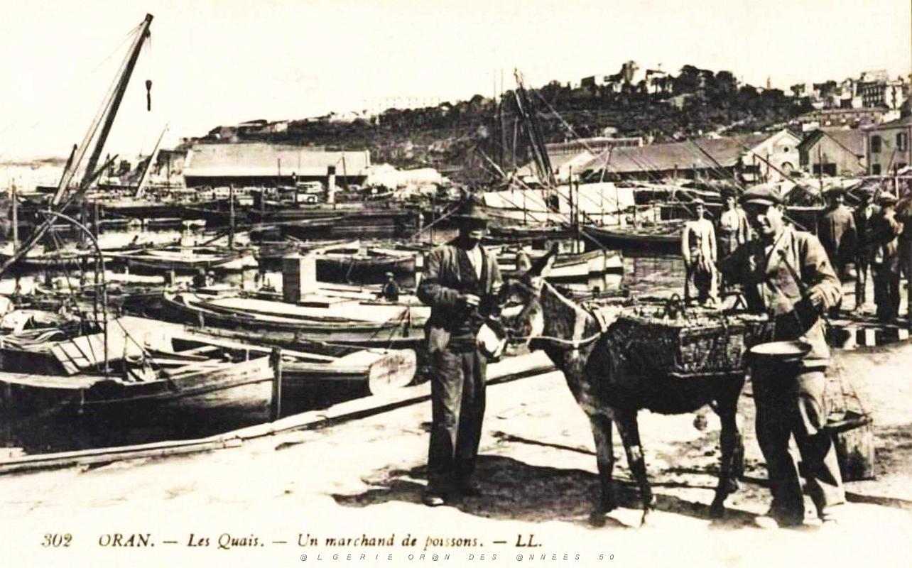 Oran - Port - Un Marchand de poissons.jpg